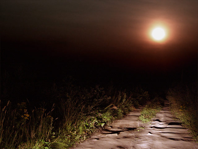 Road Forever...