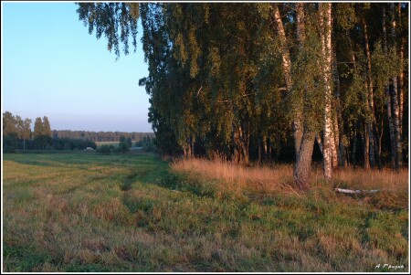 В ПОСЛЕДНИХ ЛУЧАХ