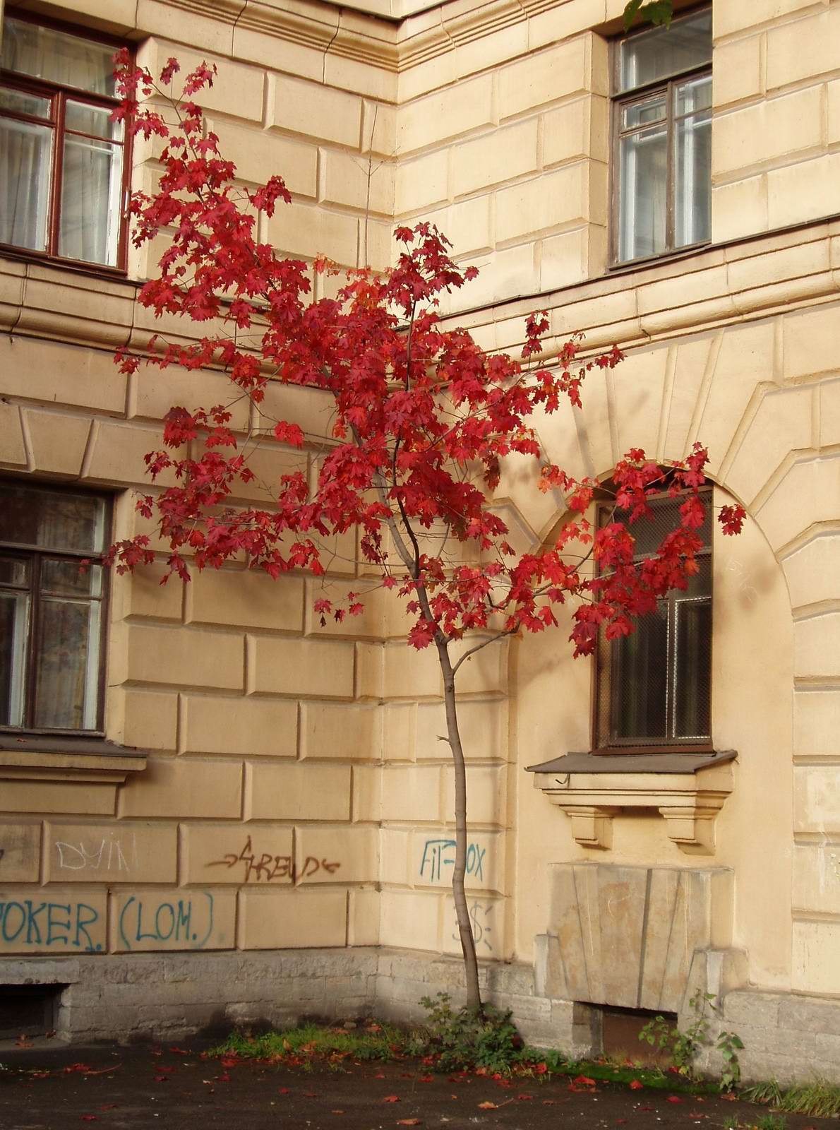 Одиночество