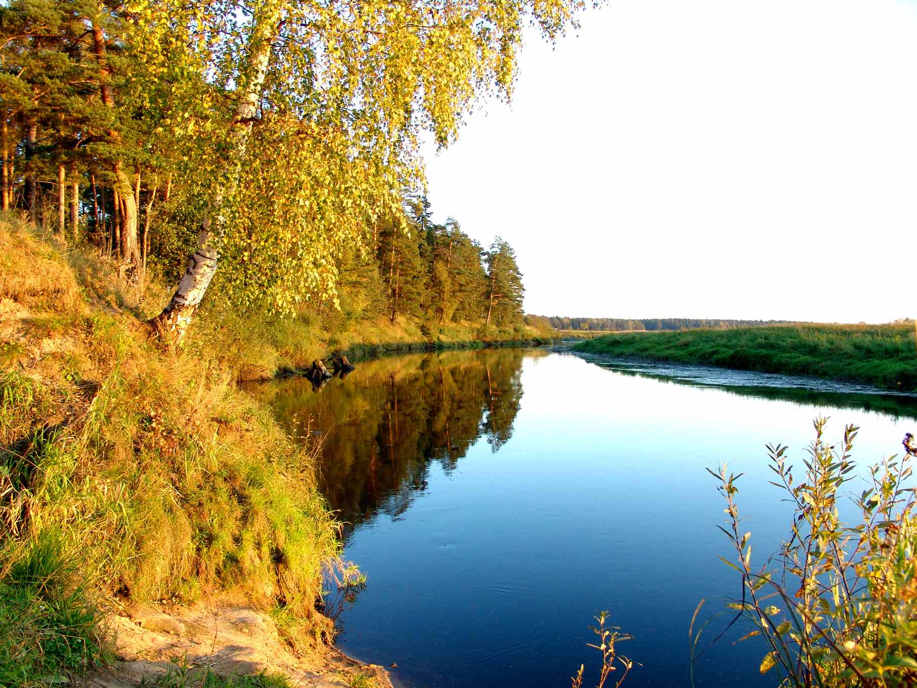 Осенняя гладь