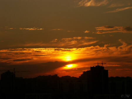 Тени города