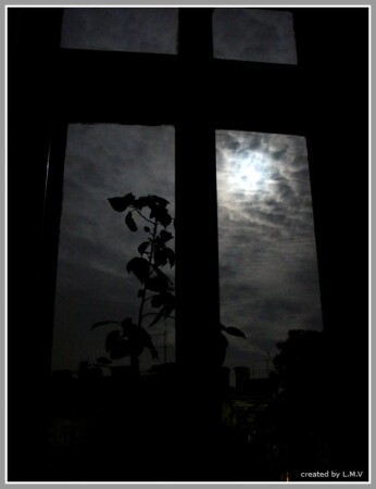 Окно в ... туда ...