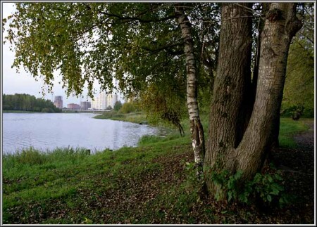Пехорка