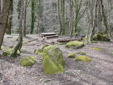 просто красивый пейзаж