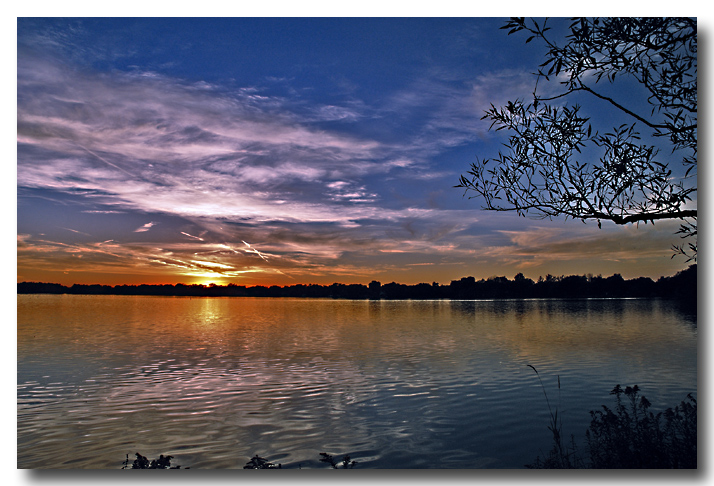 lake Wilcox 