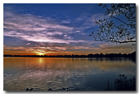 lake Wilcox