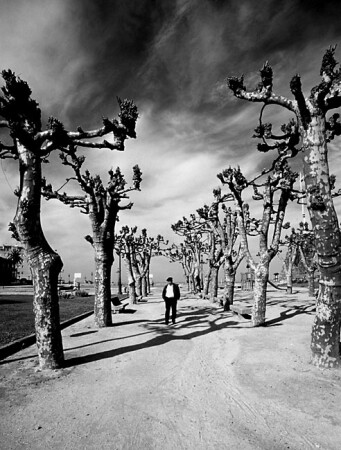 Странные сны (1)