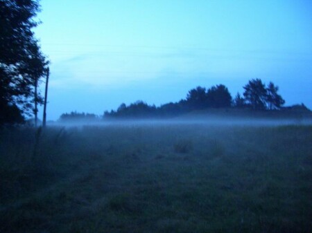 В тумане...(2)