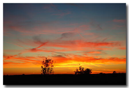 another bloody sunset