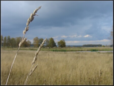 чистота природы