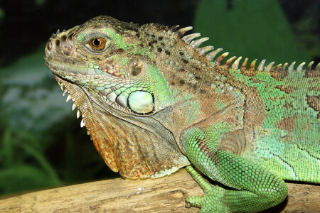 Сам себе нравлюсь...