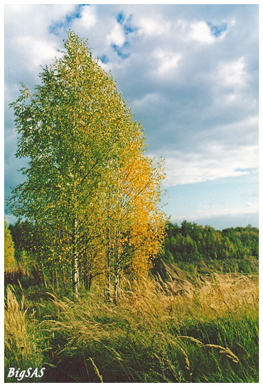 Краски осени