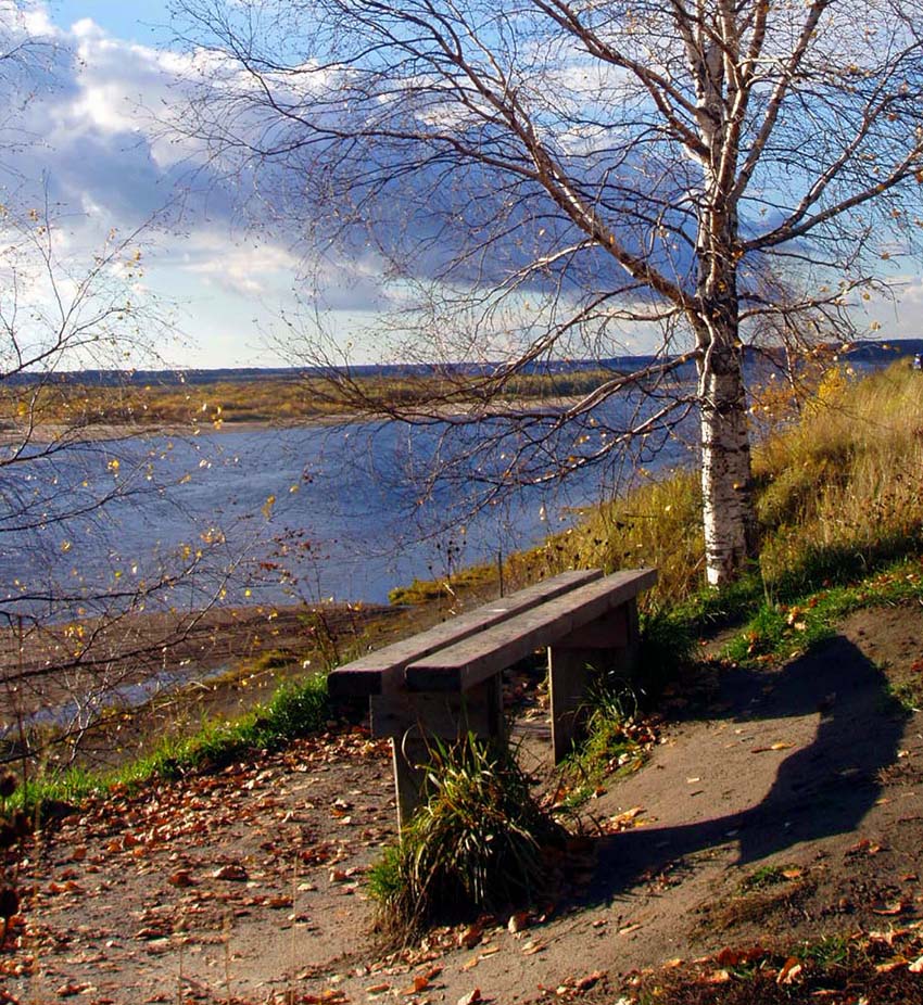 Скамейка. 