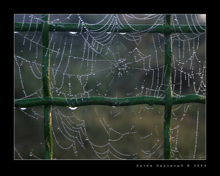 Net in a net