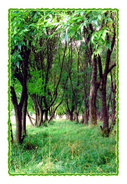 Просто красиво