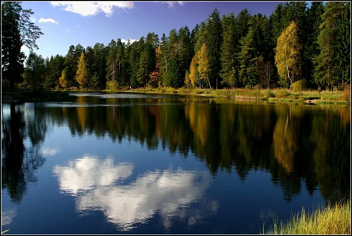 Лесное озеро