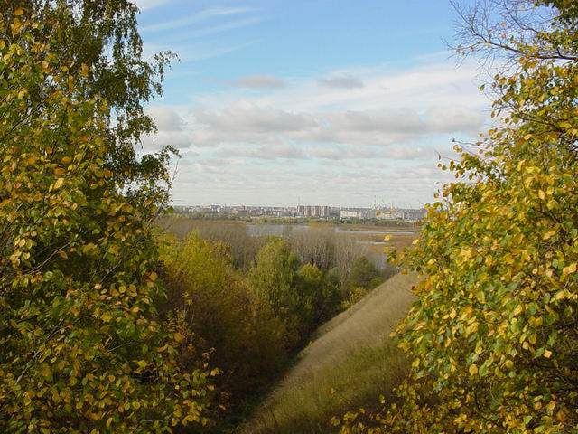 Раздвинув ветки