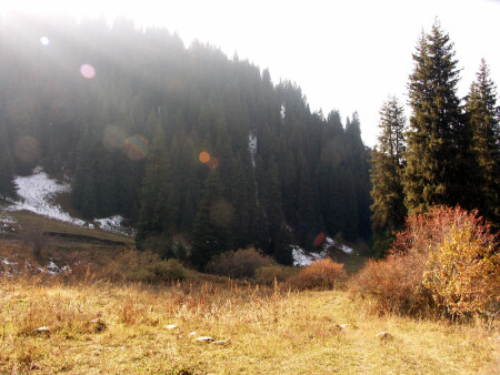 В лучах осени