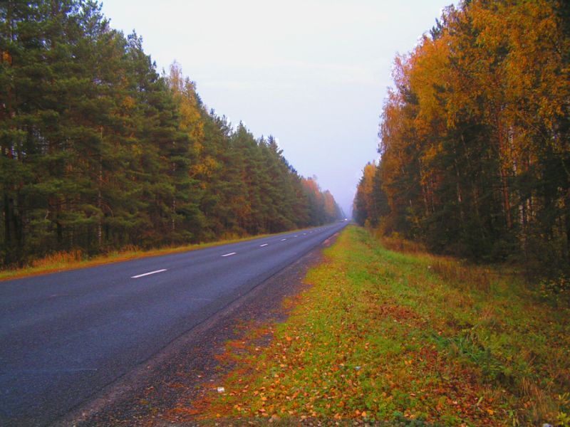 Дорога в туманную неизвестность...