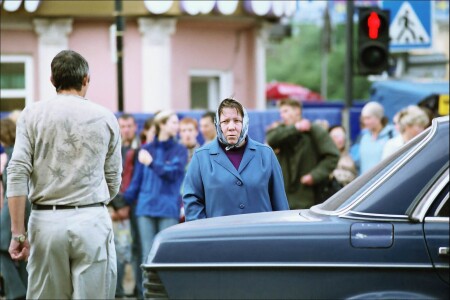 на зебре