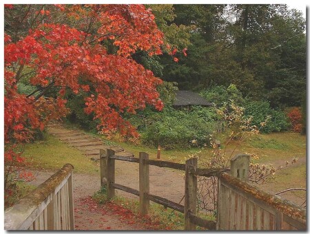 После дождя