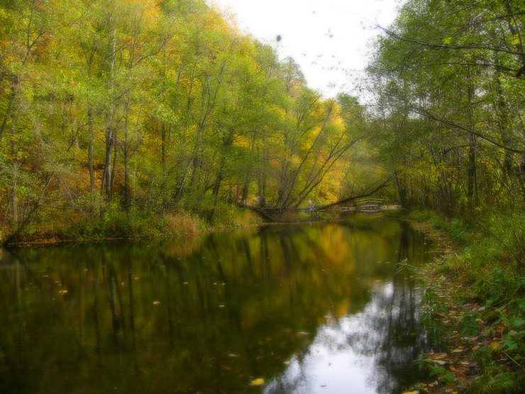 Осень