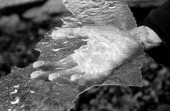 hand&amp;ice
