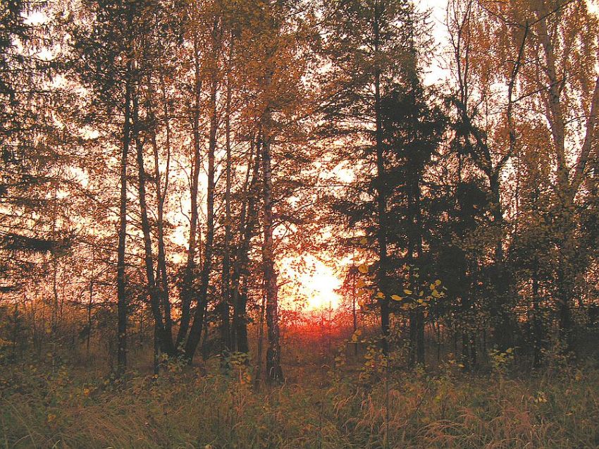 Осенний закат