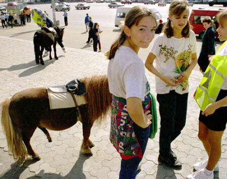 чувихи и типа крутой жеребец