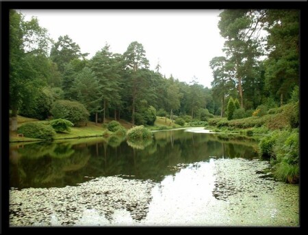 Оттенки зеленого