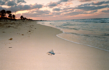 Закат и парусник