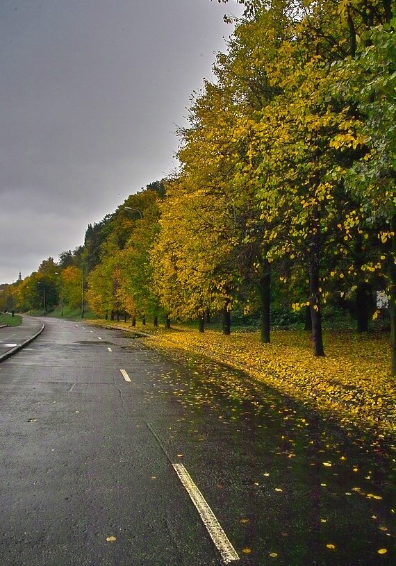 Осенняя дорога