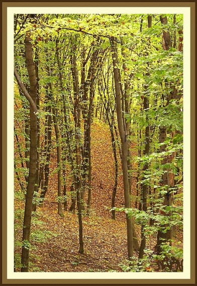  осенний день