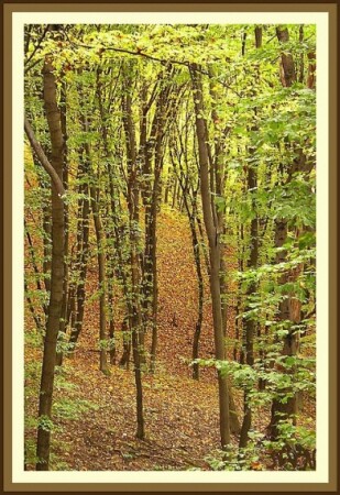  осенний день