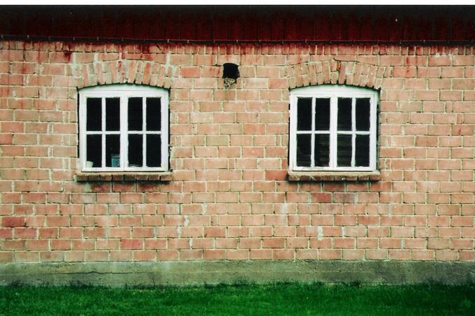 windows