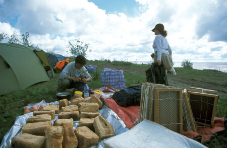  Немного хлеба