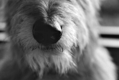 sniff sniff!!