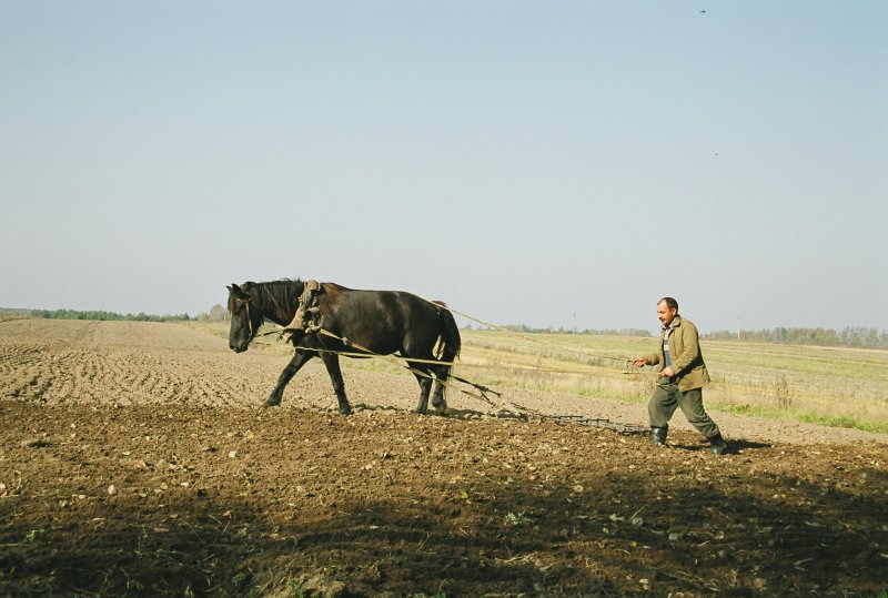 Пахарь