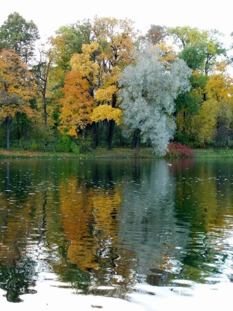 Краски осени
