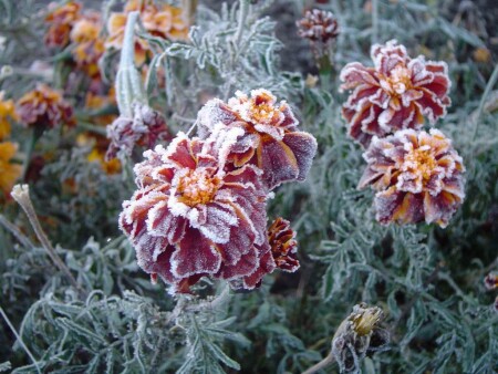 Да, да! Уже зима!