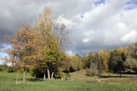 Осенний мотив