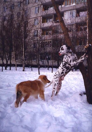 Слышь!Помоги отвязаться!