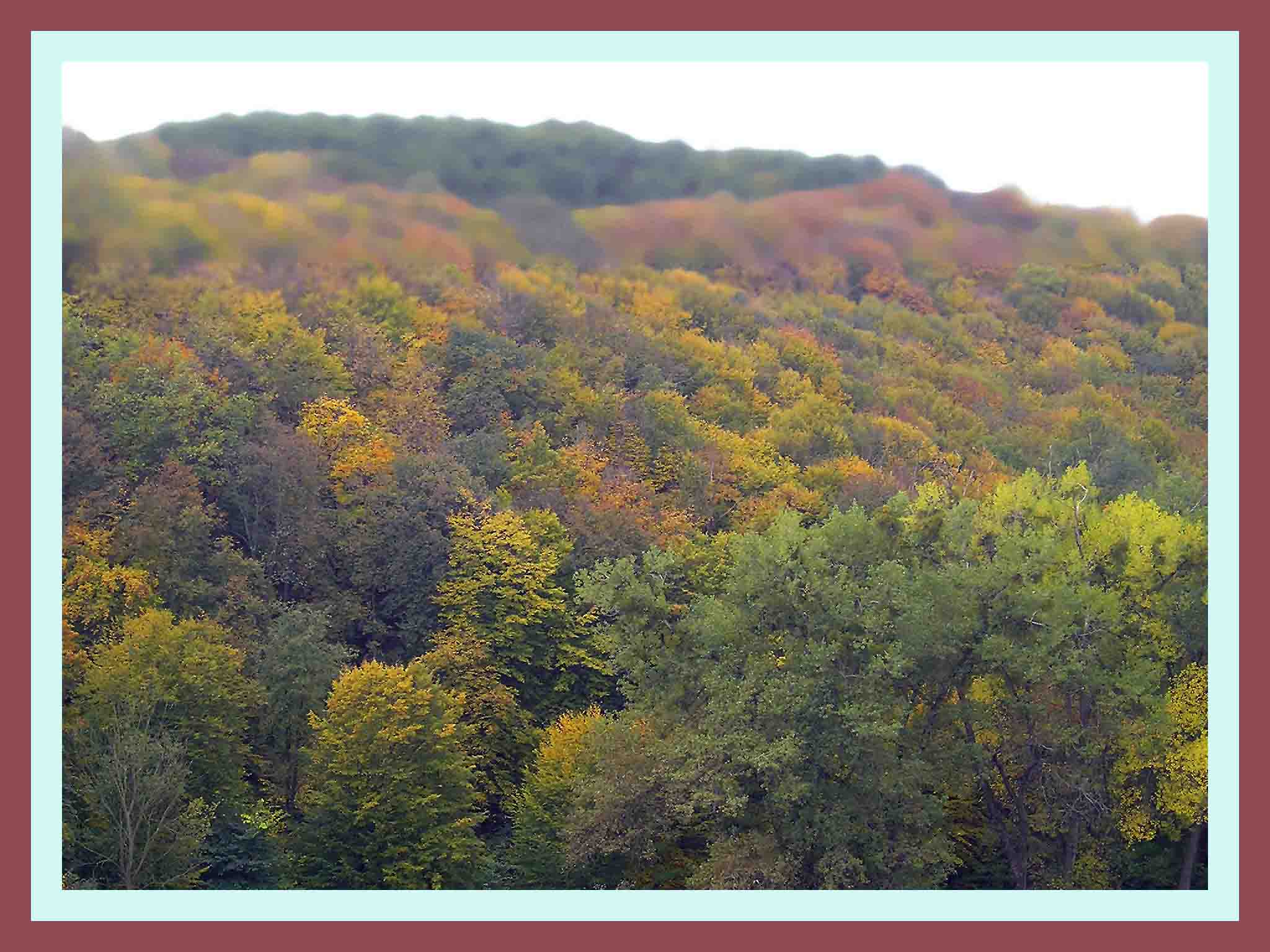 Fall
