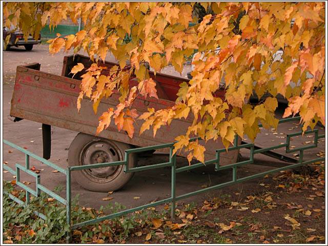Этюд в осенних тонах