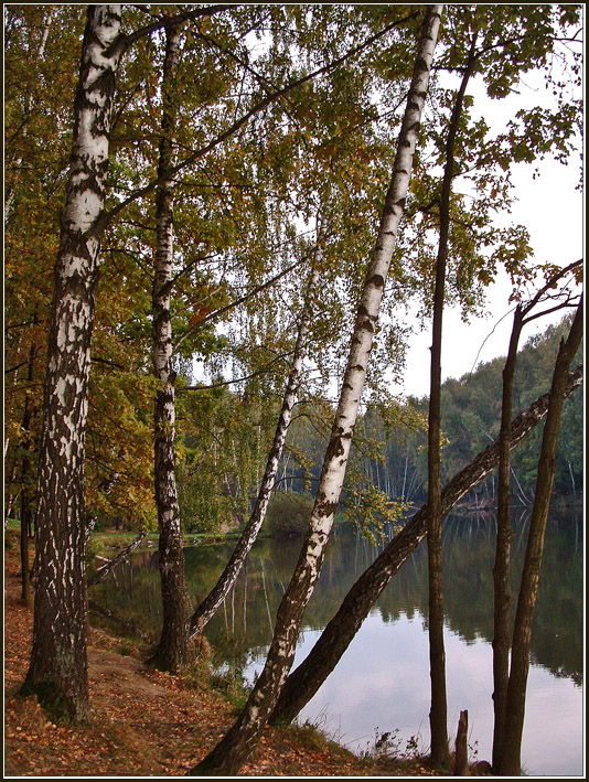 У воды.