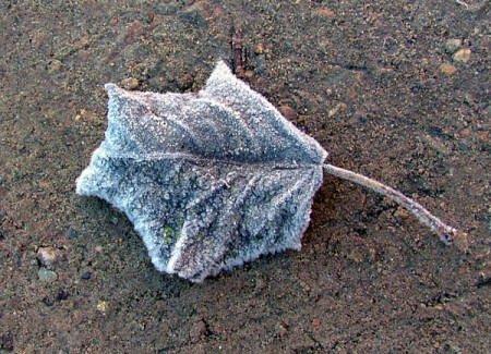 Первые морозы