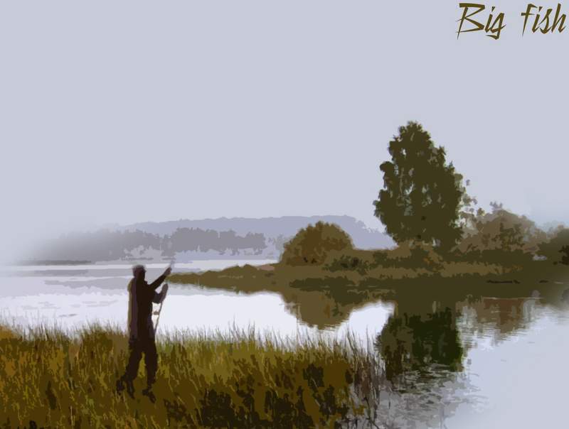 Big FISH