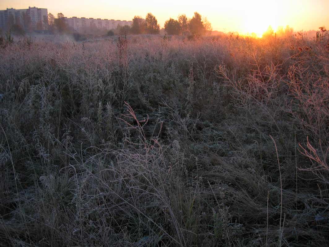 Городской рассвет