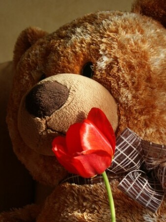 Воспоминания