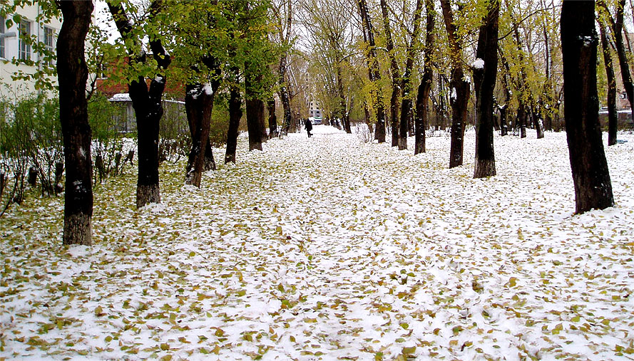 И пришла зима...
